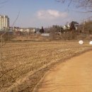 농업회사법인 다음산업(주) Daum카페