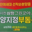 덕진-59 이미지