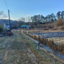 쑤니비어 이미지