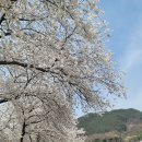 오봉정사 | 섬진강 보면서 참게탕과 은어튀김, 재첩을 먹을 수 있는 하동 맛집 은성식당