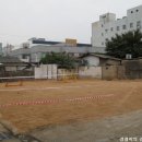 홍콩장 이미지