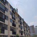 동구1동 이미지