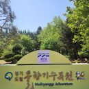 임실덕천리가침박달군락 | 물향기수목원의 식물(2026.5.1)