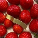 파리바게뜨 기장교리점 이미지