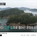 삼밭섬 네이버블로그