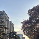 고려대학교 교육대학원 | (대학원) 종강이여 오라 : 고려대학교 교육대학원 수학교육전공 1학기 후기