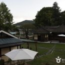 스테이 마중 이미지