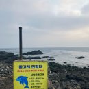 프로퍼밀도 이미지