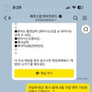 제주995 | 스냅 :: 2월에 겨우 잡은 5월의 기적! 라이즈무드(정민 작가님) & 비비드블랑 제주 예약 후기 (내돈내산)