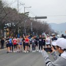 밀양-무안-무안-G-2 | 제71회 밀양 역전경주대회(2025.3.1.) 참가 후기