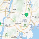 사단법인 동부 유기동물보호협회 이미지