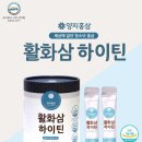 디자인스틱 이미지