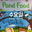 빅빅캣 이미지