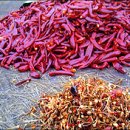 원리영농조합 이미지