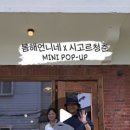 시고르청춘 이미지