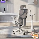 싱크상사 | [취재노트] 올즈 알티오 PRO 바이오싱크 의자, 허리와 집중력을 생각한 컴퓨터 의자 선택지