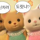 로우셋 이미지