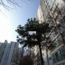 럭키아파트 버스승강장 이미지