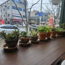 쥬빌라테커피 이미지