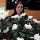 백마축산 이미지