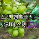 별산농장 이미지