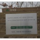 대도사 이미지