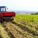 중흥농장 이미지