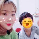 콩샘영어