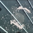 K모터스 이미지