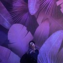 나자바바라 서대신점 미니 | 부산 기장군 기장읍 : 아난티 코브 후기🤍