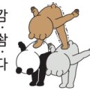 이수정뷰티살롱