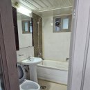 털보벽지 이미지