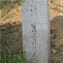 윤근수사당 Daum카페