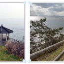영광목장(3) Daum카페