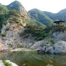 호서삼계탕