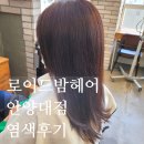안양대미용실 봄염색 로이드밤헤어안양대점 염색후기(보해샘)