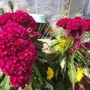 병산1리 이미지