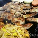 59년똥돼지