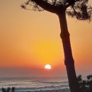 뚜아에무아 이미지