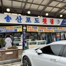 화성 사강시장 맛집 송산포도횟집 가장 비싼 메뉴 먹은 후기