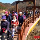 양구군청(두타연 평화누리길) 뉴시스