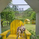 프불하우스 | 춘천 휴가 1박2일(부제:반려견동반 카라반 🇺🇸아웃오브파크🇺🇸 후기)