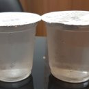 본도시락 상동점 이미지