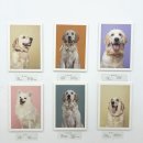 뭉스벨리 이미지