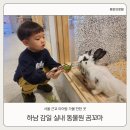꼬마곰놀이터 이미지