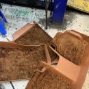 송프로 손세차 이미지