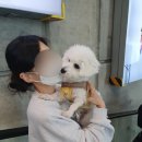 수진헤어샵 이미지
