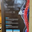 희스킨 이미지