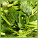 구좌리얼크니손칼국수 이미지