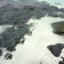 홍조바다 이미지